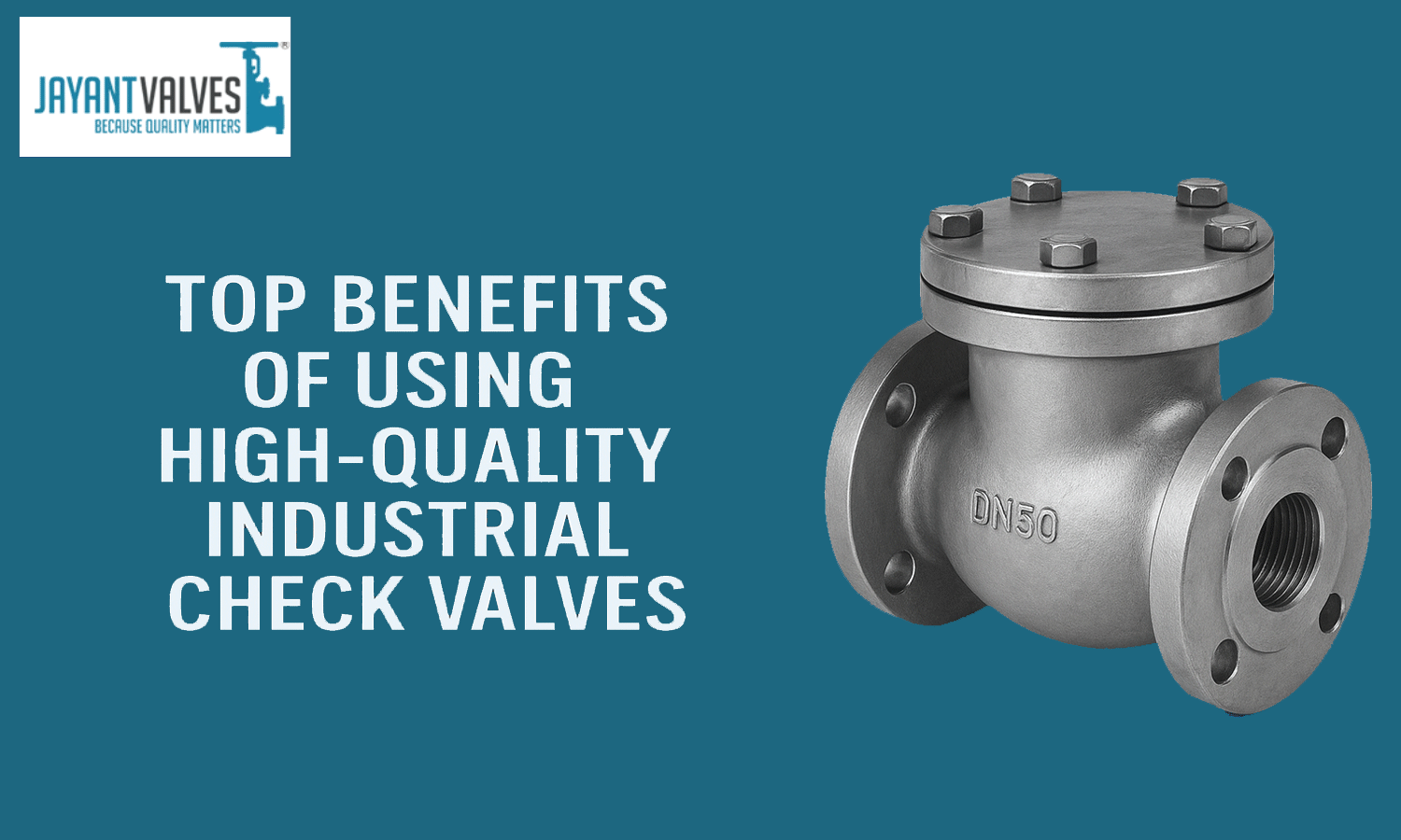 Industrial Check Valves india